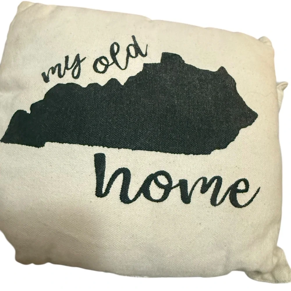 Unlisted Black and Cream Home Accent Pillow